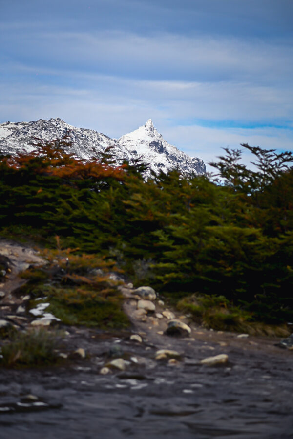 Trekking Cruzando la Cordillera - Imagen 11