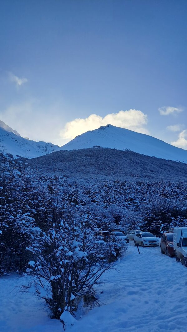 City Tour Bajo Cero y Glaciar Martial - Imagen 15