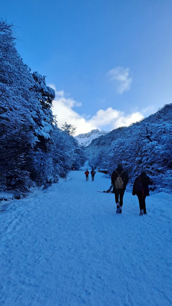 City Tour Bajo Cero y Glaciar Martial - Imagen 16