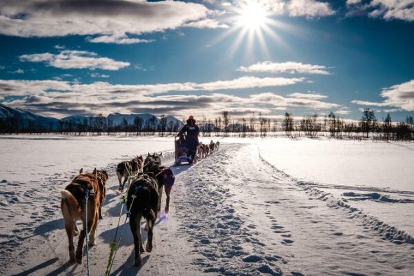Día en la Nieve - Imagen 13