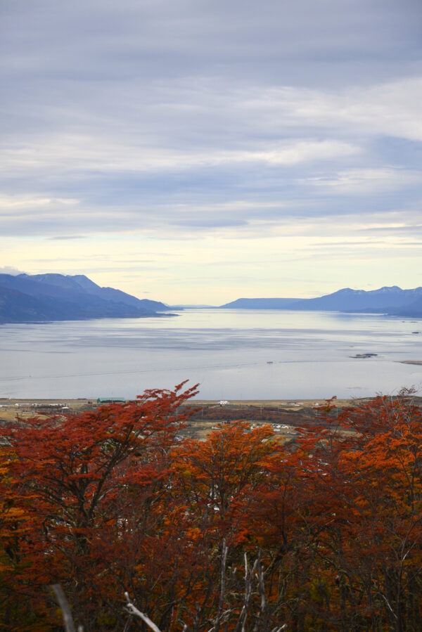 Parque Nacional Clásico - Imagen 2