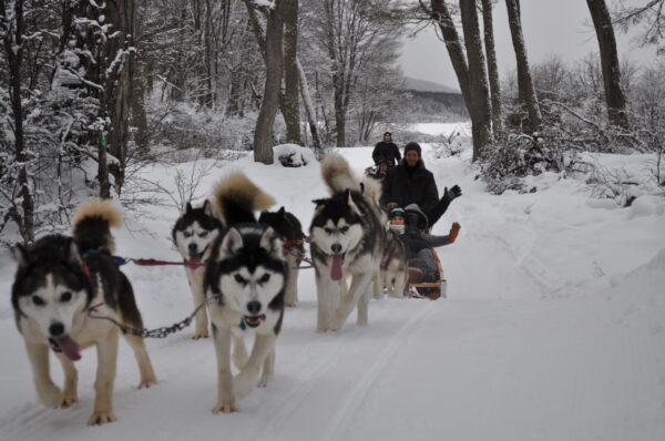 Día en la Nieve - Imagen 4
