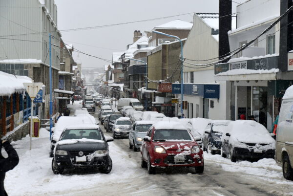 City Tour Bajo Cero y Glaciar Martial - Imagen 6