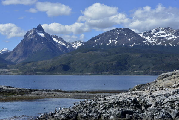 Navegación en el Canal Beagle - Imagen 11
