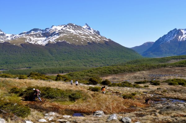 Parque Nacional Clásico - Imagen 3