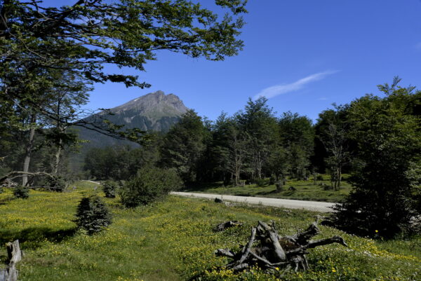 Parque Nacional Clásico - Imagen 10