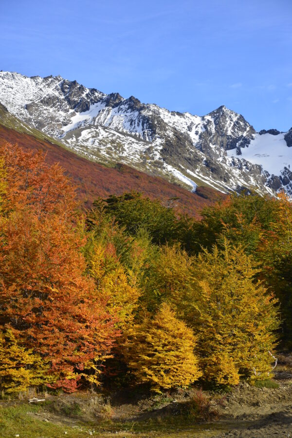 Parque Nacional Clásico - Imagen 11