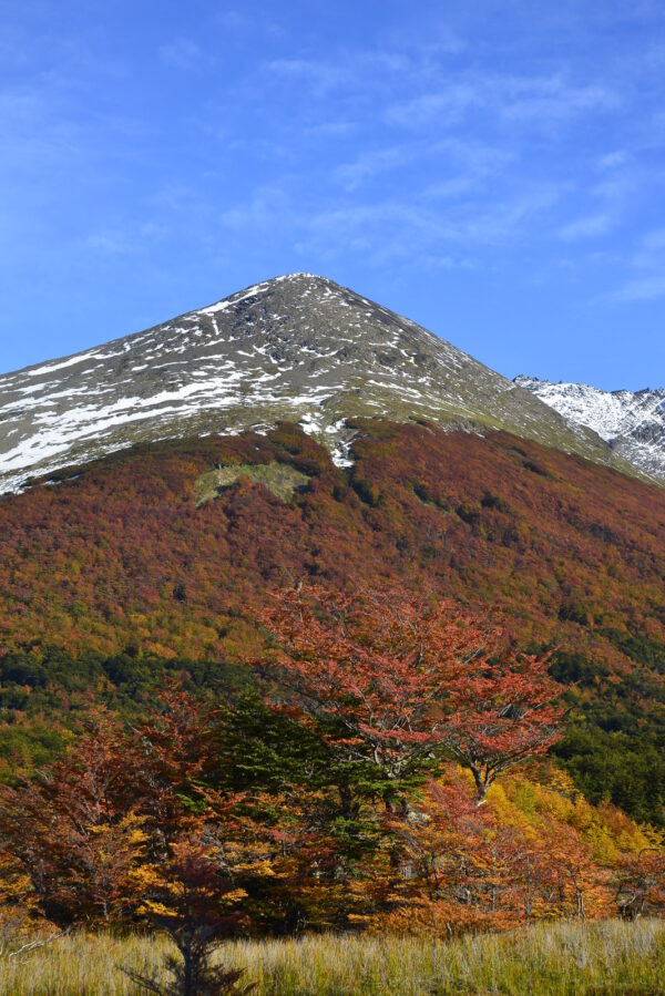 Parque Nacional Clásico - Imagen 12