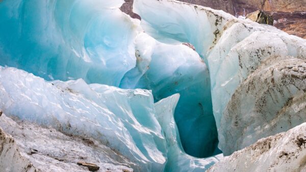 Trekking Glaciar Vinciguerra - Imagen 3