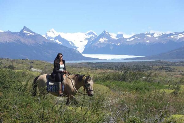 Full Day Paine Overland 4x4 - Imagen 7