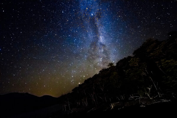 Calafate Night - Imagen 15