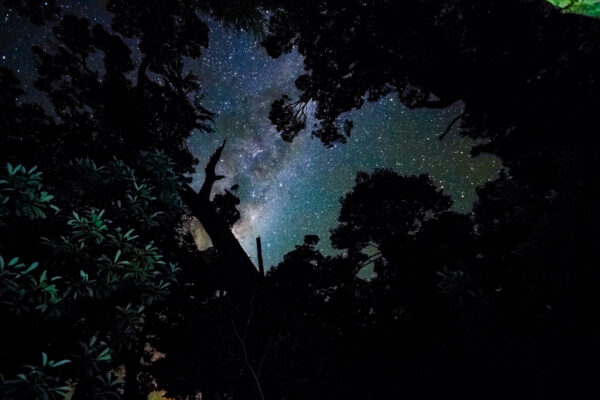 Calafate Night - Imagen 17