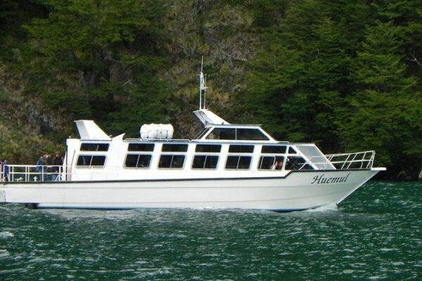 Full Day Chaltén + Lago del Desierto - Imagen 6
