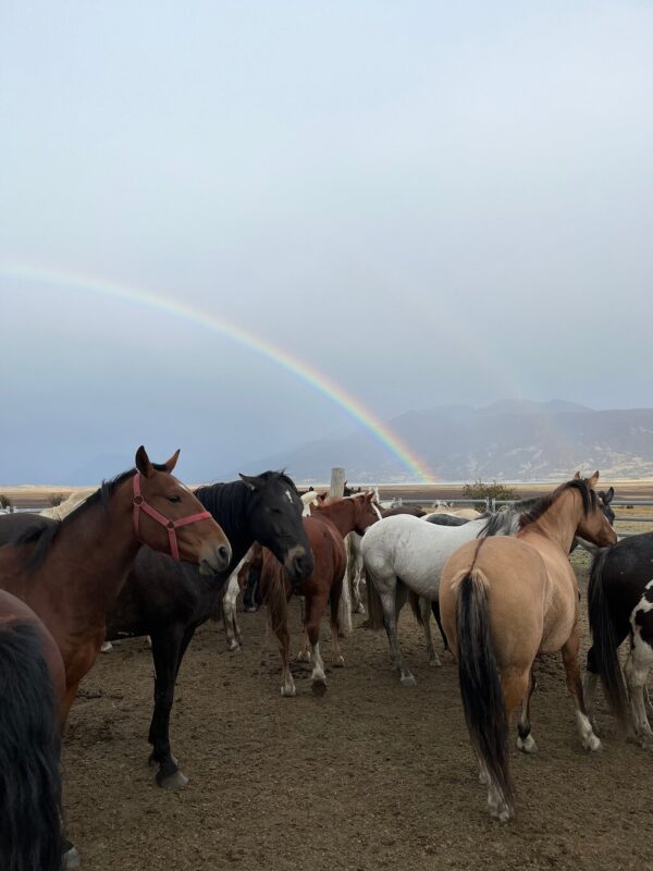 Cabalgata Estancia Rio Mitre - Imagen 18