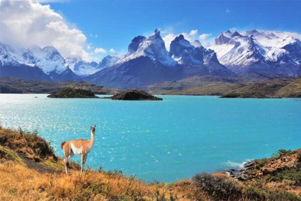 Full Day Paine Overland 4x4 - Imagen 10
