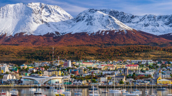 City Tour Bajo Cero y Glaciar Martial - Imagen 2