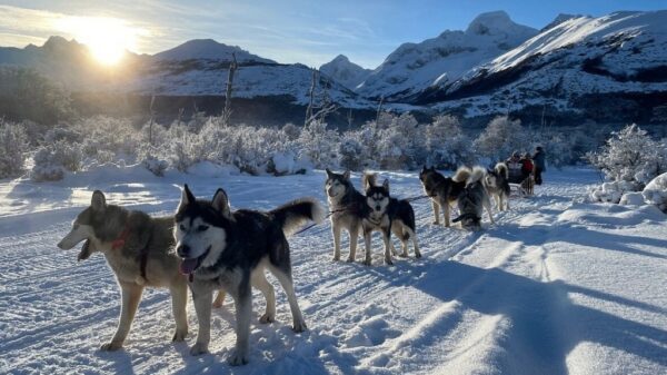Día en la Nieve - Imagen 23